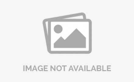 dcbox小金库橡机业务2021全球排名